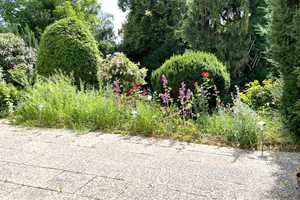 Großzügiges Einfamilienhaus mit weitläufigem, traumhaftem Garten in bester Lage von GÖ-Geismar ! – Göttingen (Kreis) – Vorschaubild 10