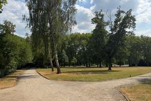 +++ Klassischer Bungalow am Bulmker Park wartet auf behutsame Modernisierung +++ – Die vollständige Adresse der Immobilie erhältst du vom Anbieter., 45888 Bulmke-Hüllen, Gelsenkirchen – Vorschaubild 40