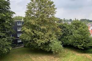 Geräumige 3 Zimmer Wohnung!