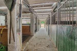 Loxstedt - Düring | Zweifamilienhaus mit Pferdestallen, Ferienapartment, Pool, Stall, Reithalle, Pad – Die vollständige Adresse der Immobilie erhältst du vom Anbieter., 27612 Loxstedt – Vorschaubild 26