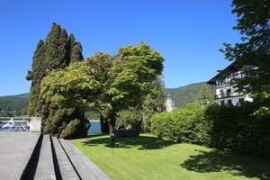 Property thumbnail 34