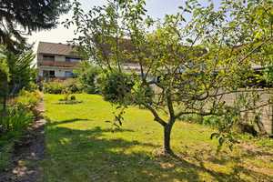 Einfamilienhaus mit großem Garten – Rhein-Pfalz-Kreis – Vorschaubild 6