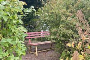 Eintreten und wohlfühlen, hübsches Einfamilienhaus mit zauberhaften Garten! – Buchenstraße 14, 6198 Bennstedt – Vorschaubild 60