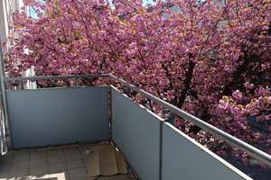 4-Zimmer-Wohnung in Darmstadt-Bessungen – Martinstraße 50, 64285 Bessungen, Darmstadt – Vorschaubild 3