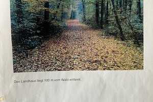 Individuelles Wohnhaus in bester Lage direkt am Waldrand – Bergwaldstrasse 11, 75391 Calw (Kreis) – Vorschaubild 9