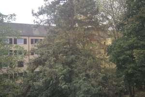 Charmante bezugsfreie 2-Zimmer-Wohnung mit Südwest-Balkon in ruhiger Lage von Freiburg-Zähringen – 79108 Zähringen, Freiburg im Breisgau – Vorschaubild 9