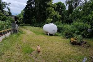 Idyllisch wohnen in Erlangen: 4,5-Zimmer-Einfamilienhaus mit Garten – Langezeile 90c, 91052 Sieglitzhof, Erlangen – Vorschaubild 14