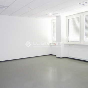 Ausstellungs-, Büro - und Gewerbefläche in München-Trudering