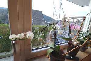 Energieeffiziente und gepflegte DHH mit Garten und Terrasse – Rastatt (Kreis) – Vorschaubild 21