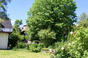 Seltenheit! Mehrfamilienhaus in Stuttgart-Sillenbuch mit Sonnengarten und zwei Garagen – Stuttgart – Vorschaubild 4