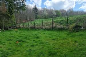 ** Ankommen und Wohlfühlen: Ihr gemütliches Refugium am Wald ** – Die vollständige Adresse der Immobilie erhältst du vom Anbieter., 53925 Kall – Vorschaubild 3