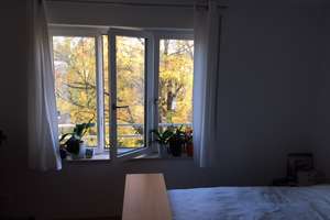 Property thumbnail 10