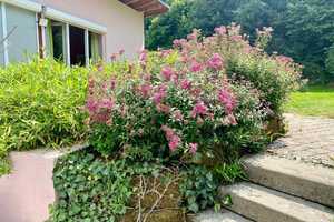 Besondere Immobilie aus zwei Häusern mit großem Garten im grünen Herzen 0bersontheims – Gaildorfer Straße 17, 74423 Schwäbisch Hall (Kreis) – Vorschaubild 21