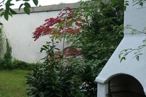 Bezaubernd schönes Bungalow Ein Familien-Haus, wartet im Grünen gebettet auf die nächste Generation. – Die vollständige Adresse der Immobilie erhältst du vom Anbieter., 88662 Überlingen – Vorschaubild 11