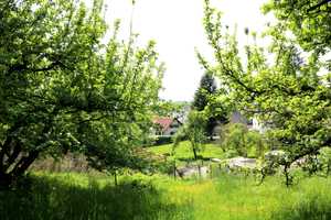 Grundstück mit Altbestand in Hang/Waldrandlage für Naturliebhaber in Altenstadt/Iller – Neu-Ulm (Kreis) – Vorschaubild 1