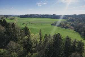 Traumlage Starnberg – Die vollständige Adresse der Immobilie erhältst du vom Anbieter., 82319 Starnberg – Vorschaubild 13