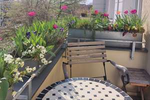 Property thumbnail 14