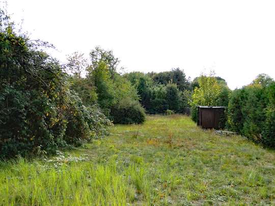 898m² Baugrundstück in einer Sackgasse, in Dahlewitz - Südausrichtung! - Bild 3