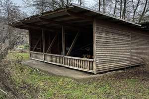 Naturidylle in Alleinlage, 4,7 ha – 55481 Kirchberg im Wald – Vorschaubild 20