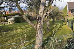1-FWH mit großem Grundstück - teilbar – Schaumburg (Kreis) – Vorschaubild 7