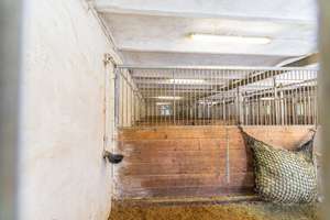 Idyllische Reitanlage mit Wohnhaus, Gästezimmern und Wirtschaftsgebäuden – Die vollständige Adresse der Immobilie erhältst du vom Anbieter., 27612 Loxstedt – Vorschaubild 23