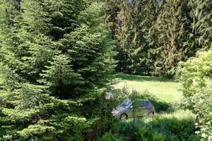 Provision Frei: Idyllisches 2 Familienhaus mit Scheune und Weitblick – Kniereit 36, 94572 Freyung-Grafenau (Kreis) – Vorschaubild 12