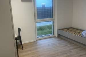 Vollmöbliertes Studierendenapartment im Erlanger Zentrum (Erstbezug) – Gabelsbergerstraße 20, 91052 Stubenloh, Erlangen – Vorschaubild 2