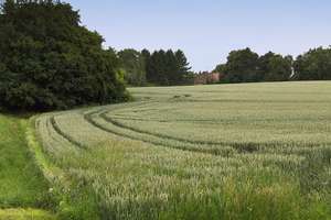 Baustellenberatung am Sonntag, 14.06.2026, Treffpunkt 11:00 Uhr, Mühlenweg 12-14 in Burgaltendorf – Die vollständige Adresse der Immobilie erhältst du vom Anbieter., 45289 Burgaltendorf, Essen – Vorschaubild 14