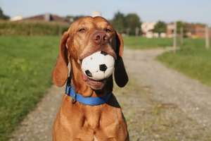 Property thumbnail 1