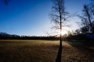 Property thumbnail 22