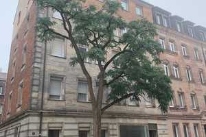 Ruhig gelegene komplett renovierte 1-Zimmer-Wohnung (Hinterhaus) Nürnberg Nord – Geuderstraße 6, 90489 Nürnberg – Vorschaubild 1