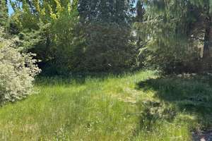 Schöner Reihenmittelbungalow in Nürnberg-Langwasser – Die vollständige Adresse der Immobilie erhältst du vom Anbieter., 90473 Langwasser Südost, Nürnberg – Vorschaubild 4