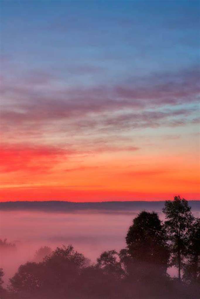 Perle in Goldbach