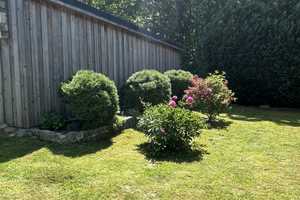 Bungalow am Fleesensee – Müritz (Kreis) – Vorschaubild 10
