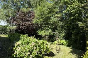 Adventspreis, großzügig. Ganz für sich – kleines Einfa.-Haus mit Bachlauf in bester Lage Wuppertals – Oberdüsseler Weg 54, 42113 Uellendahl-Katernberg, Wuppertal – Vorschaubild 6