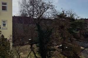 Bezugsfreie, großzügige 3-Zimmer-Altbauwohnung mit Balkon in grüner, ruhiger Lage in Reinickendorf! – Amendestraße 29, 13409 Reinickendorf (Ortsteil), Berlin – Vorschaubild 36