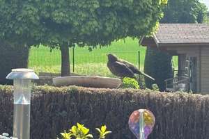 Property thumbnail 7