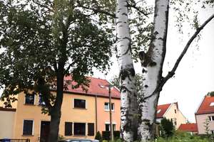 Property thumbnail 12