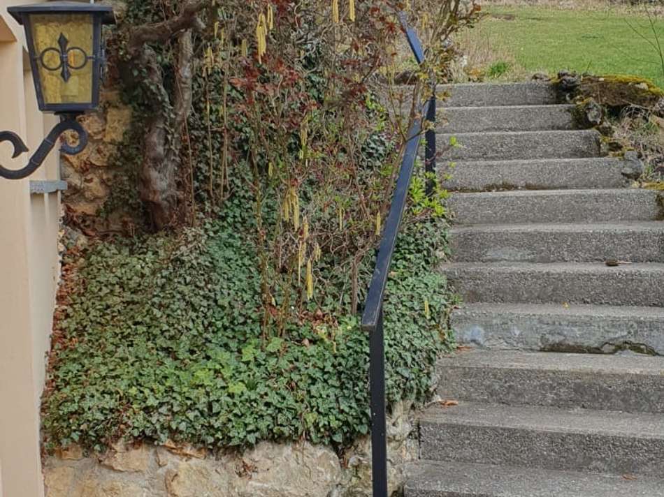 Treppe zum Hauseingang