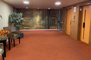 Provisionsfrei: Helle 2-Zi.-Whg. mit Balkon (Siebengebirgsblick), separater  Küche, TG-Stellplatz – Peter-Schwingen-Straße 2, 53177 Muffendorf, Bonn – Vorschaubild 5