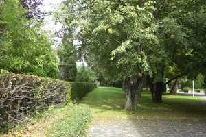 Toplage in Nymphenburg am Canaletto, frisch sanierte 1 Zi - Wohnung – Nederlingerstr. 32 a, 80638 München – Vorschaubild 2
