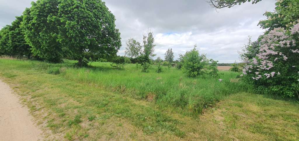 Immobilie in Oberbarnim - Planung nach Ihren Wünschen auf einem weitläufigen Grundstück mit Bauzeitgarantie zum Festpreis - Bild 2