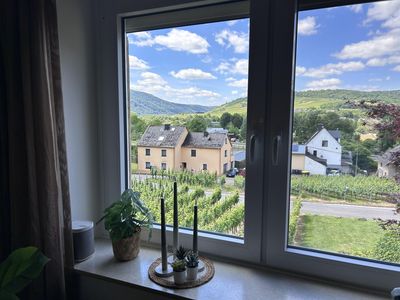 Haus an der Mosel in Senheim
