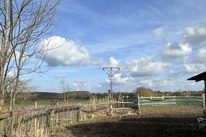 RESERVIERT !!Gr. Wohnhaus (4 WG )mit Pferdestall Grdst. 2215 m²+ 1,59 ha Pachtwiese in Wölschendorf – Die vollständige Adresse der Immobilie erhältst du vom Anbieter., 23936 Grevesmühlen – Vorschaubild 76