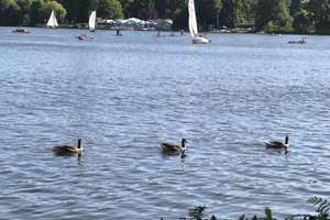 Top Lage wenige Fussminuten zu Alster mit 3 Balkonen – Die vollständige Adresse der Immobilie erhältst du vom Anbieter., 22301 Winterhude, Hamburg – Vorschaubild 10