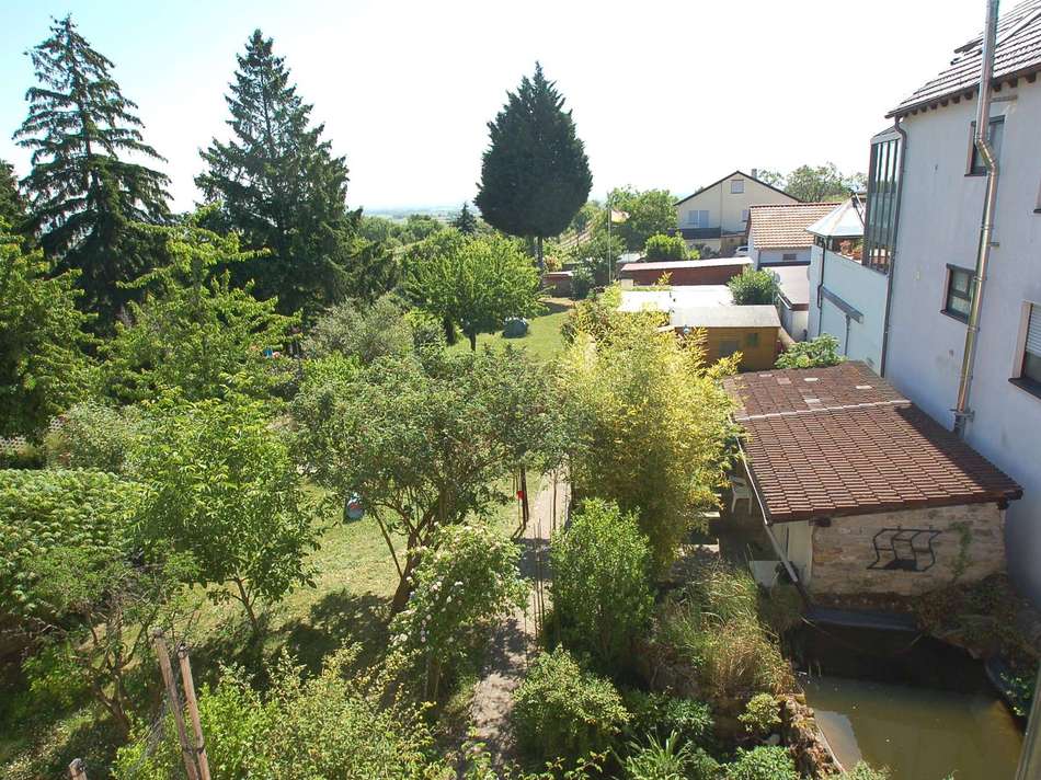 Blick von oben