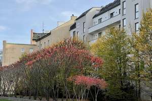 Exklusive EG Loft-Wohnung mit 3ZKB in Schwanthalerhöhe - kernsaniert, ruhig und repräsentativ – Grasserstrasse 1c, 80339 Westend, München – Vorschaubild 11