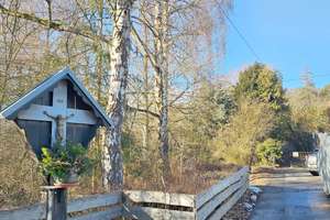 Seltene Gelegenheit am Ortsrand von Lenting – Großes Traumgrundstück, Haus, Natur & Potential – Guttenbergerstr. 40, 85101 Lenting – Vorschaubild 3