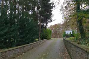 Freistehendes Einfamilienhaus, ruhige Lage, Waldnähe in Bad Münstereifel – Die vollständige Adresse der Immobilie erhältst du vom Anbieter., 53902 Bad Münstereifel – Vorschaubild 5