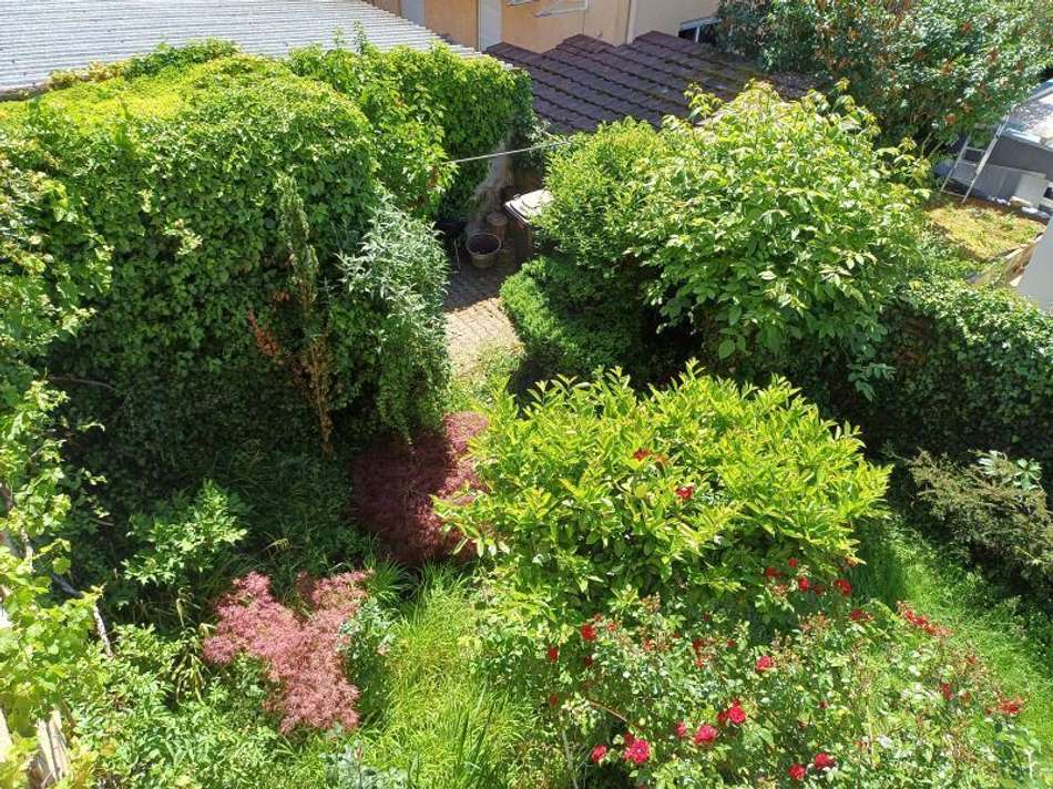 Garten, Blick vom Balkon